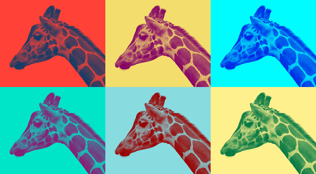giraffe-color-boxes