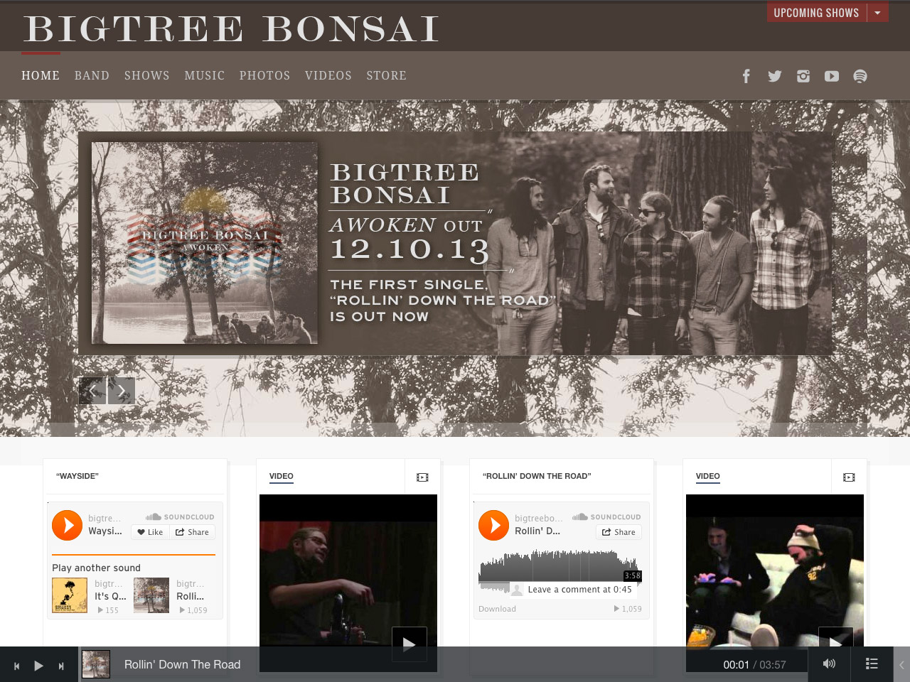 showcase-Big-Tree-Bonsai